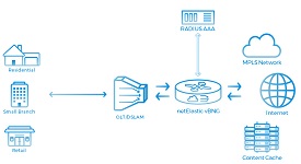 Virtual Broadband Network Gateway (vBNG) Virtual Broadband Network Gateway (vBNG)